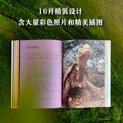 鹦鹉螺与长颈鹿：10½章生命的故事 商品图1