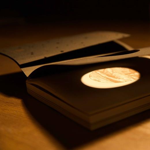 和唯一知道星星为什么会发光的人一起散步 蒋方舟 著 商品图4