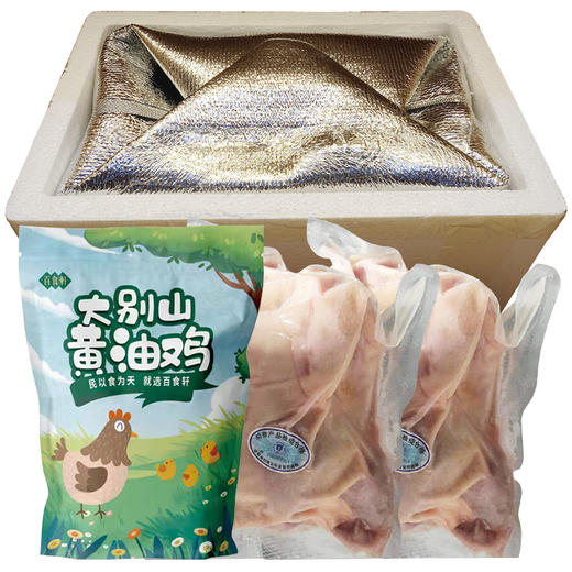 百食轩 安徽散养皖西麻黄鸡母鸡 高端彩袋彩箱装 （国家地理标志产品） 商品图2