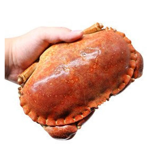 【43.9元/个】冻熟冻黄道蟹（个）（1502546） 商品图0