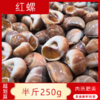 【海鲜】鲜活红螺（250g） 商品缩略图0