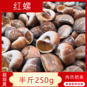 【海鲜】鲜活红螺（250g）