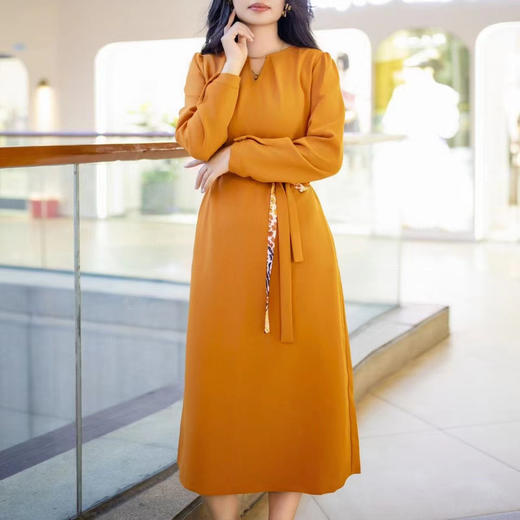 -赪霞色HJ1S37 商品图2