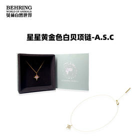 贝林自然世界星星黄金色白贝耳针项链手链