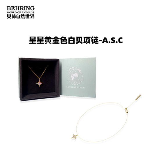 贝林自然世界星星黄金色白贝耳针项链手链 商品图0