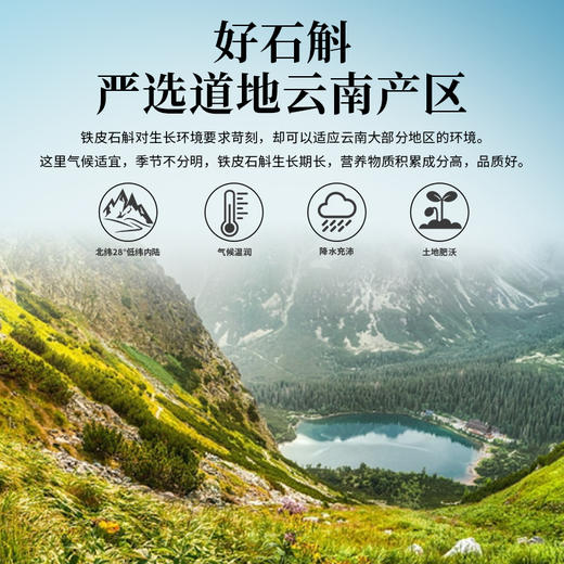 雷允上云南一级铁皮石斛100g/盒 商品图5