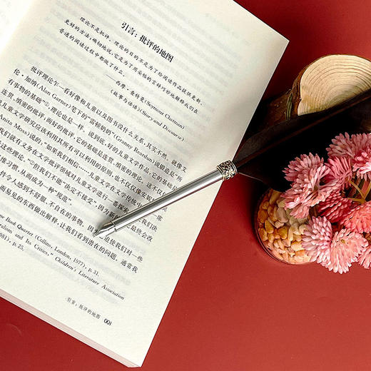 批评 理论与儿童文学 Criticism Theory and Children’s Literature 国际格林奖儿童文学理论书系 华东师范大学出版社 商品图8