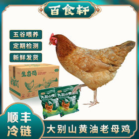 百食轩 安徽大别山黄油老母鸡2只 彩袋彩箱装