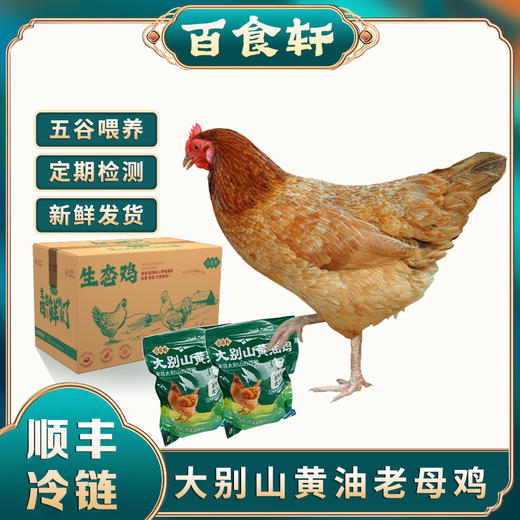 百食轩 安徽大别山黄油老母鸡2只 彩袋彩箱装 商品图0