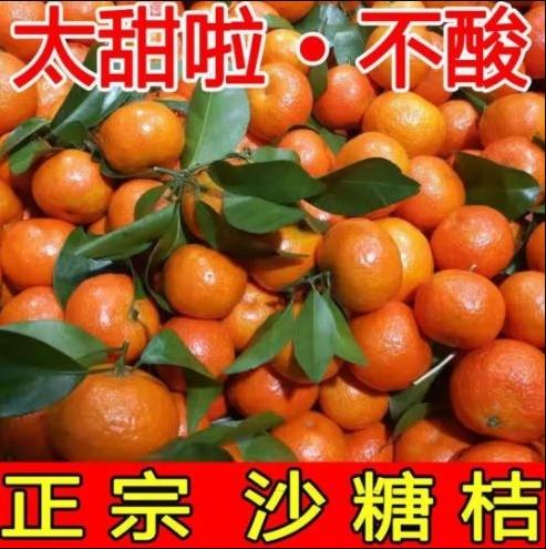 正宗广西砂糖橘10斤箱装【BH】 商品图0