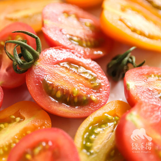 有机圣女果 3斤（包邮） | 绿家自产 * organic cherry tomato | Self-production 商品图3