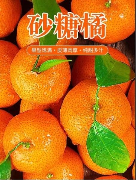 正宗广西砂糖橘10斤箱装【BH】 商品图3