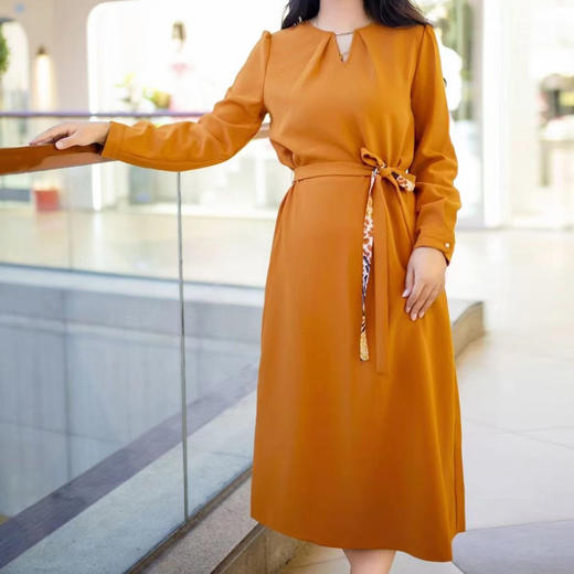 -赪霞色HJ1S37 商品图3