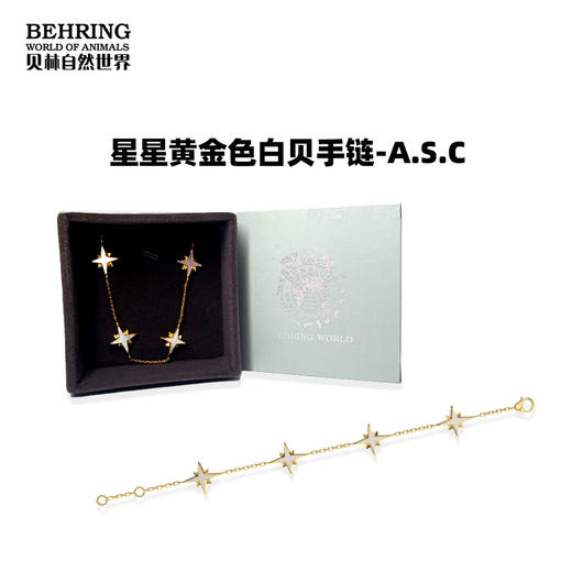 贝林自然世界星星黄金色白贝耳针项链手链 商品图1