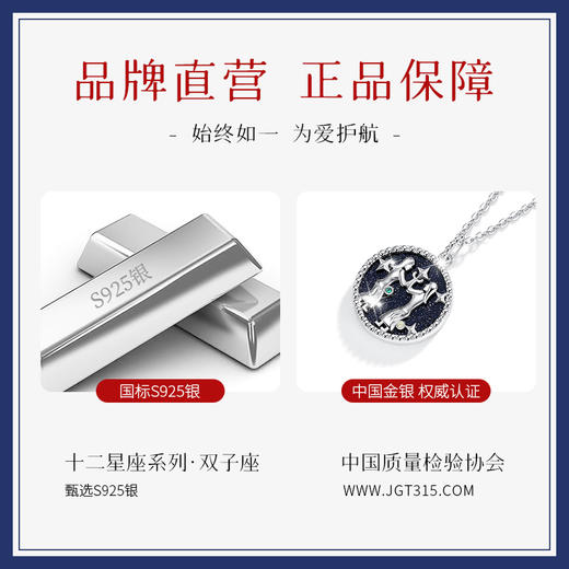 Winy925纯银十二星座系列项链送女友闺蜜节日生日礼物 商品图2