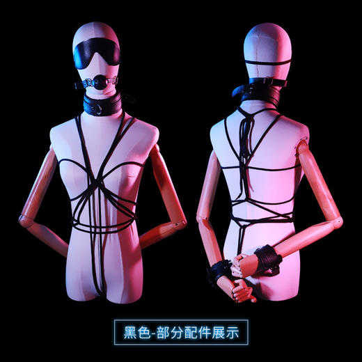 【情趣用品】谜姬 sm皮革套装调情趣女用调教房趣玩具捆绑手铐十件套 商品图1