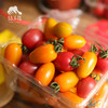 有机圣女果 3斤（包邮） | 绿家自产 * organic cherry tomato | Self-production 商品缩略图1