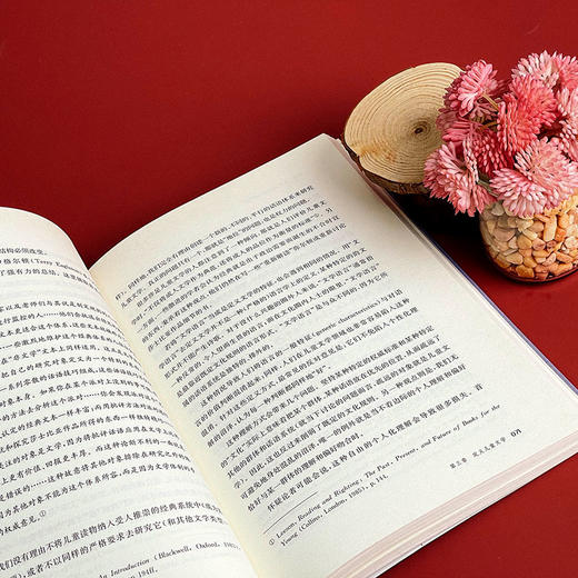 批评 理论与儿童文学 Criticism Theory and Children’s Literature 国际格林奖儿童文学理论书系 华东师范大学出版社 商品图9