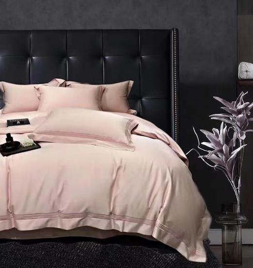 【春上新】10楼 恐龙 长绒棉100支臻品绣花四件套-卡洛 200*230cm   吊牌价2880元    活动价699元 商品图1