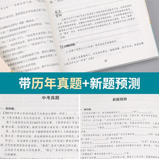 全本名著·课程化阅读丛书 白洋淀纪事 非塑封 商品图4