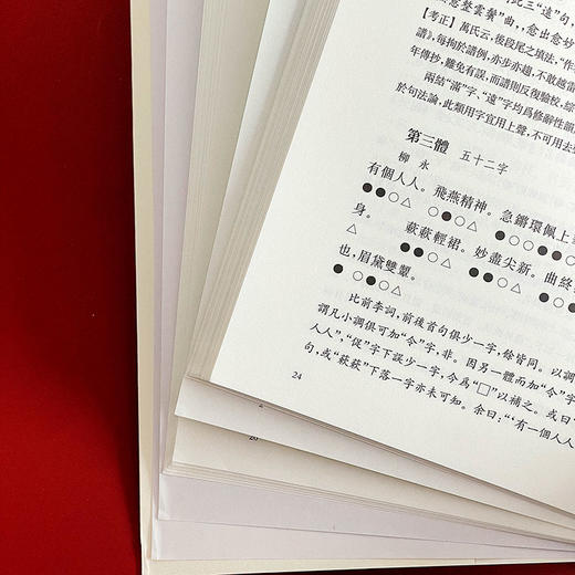 词律考正 《钦定词谱考正》姊妹篇 蔡国强著 整理校正清代学者万树《词律》 词谱学语言文字研究 商品图7