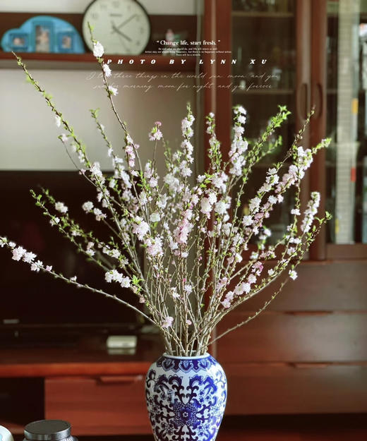 【希望 纯洁】珍珠李 粉色  约10枝/扎 商品图0