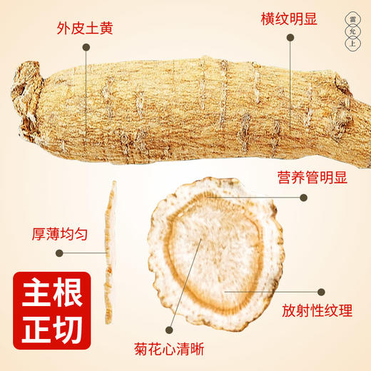 雷允上美国花旗片72g（6g*12瓶）/盒（1.4-1.6cm） 商品图1