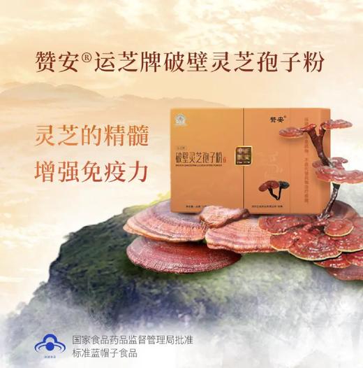 正安 孢子粉 赞安原材 破壁灵芝孢子粉1g/包*60包/盒 商品图0