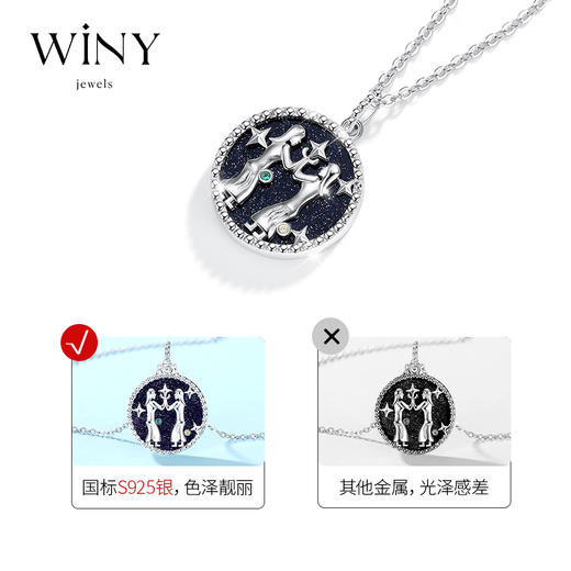 Winy925纯银十二星座系列项链送女友闺蜜节日生日礼物 商品图7