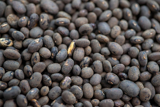 小黑豆咖啡 商品图6