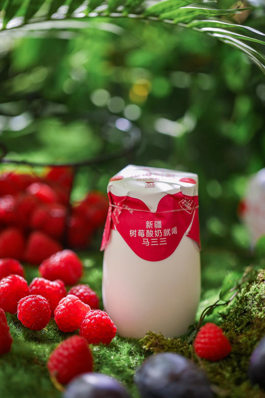（踏春福利买10罐送1罐）新疆酸奶 马三三.小白罐原味/树莓/西梅酸奶180g×12杯 新疆昌吉直发 商品图5