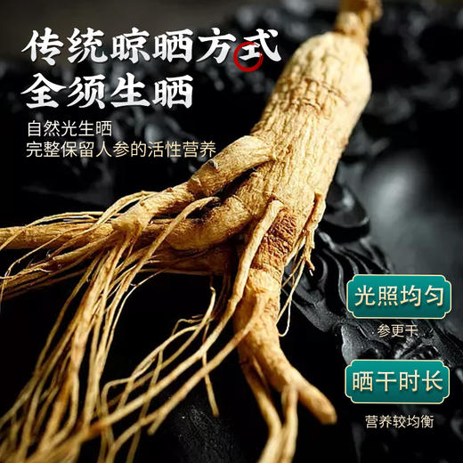 雷允上直营 | 长白山人参100g/盒 精选东北吉林长白山整枝生晒参干货 泡酒煲汤礼盒佳品  商品图1