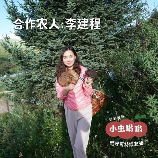 高原野生青冈菌 60g | 合作农友生产，产自四川甘孜雪山高原，生产者：李建程 &【公平贸易农人定价】 商品图4