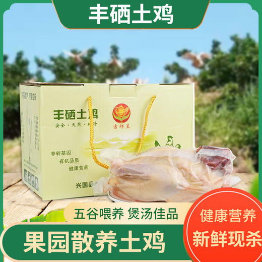 丰硒农业--丰硒土鸡1只装（1.8~2斤） 商品图0