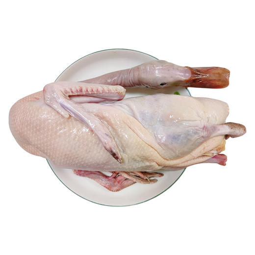 百食轩 安徽大别山农家池塘生态老麻鸭单只 彩箱装 商品图4