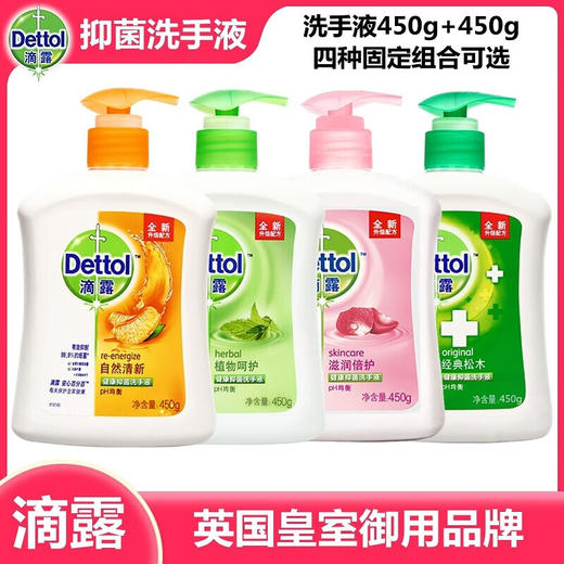 滴露滴露洗手液植物呵护450g+450g清香家用滋润清洁 经典松木450g+滋润倍护450g 商品图4