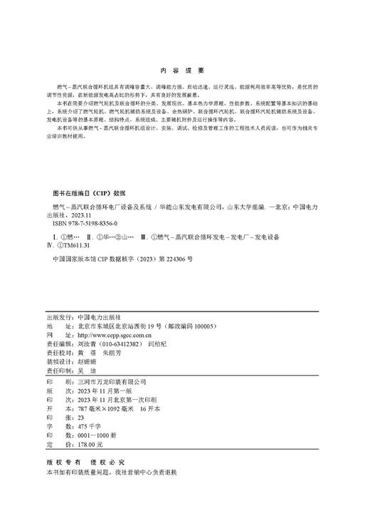 燃气-蒸汽联合循环电厂设备及系统 商品图3