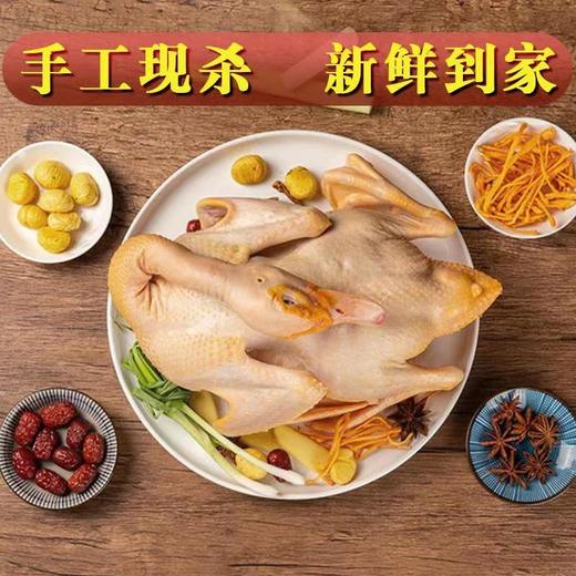 百食轩 安徽大别山农家池塘生态老麻鸭单只 彩箱装 商品图7