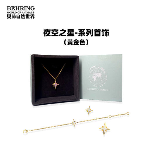 贝林自然世界星星黄金色白贝耳针项链手链 商品图2