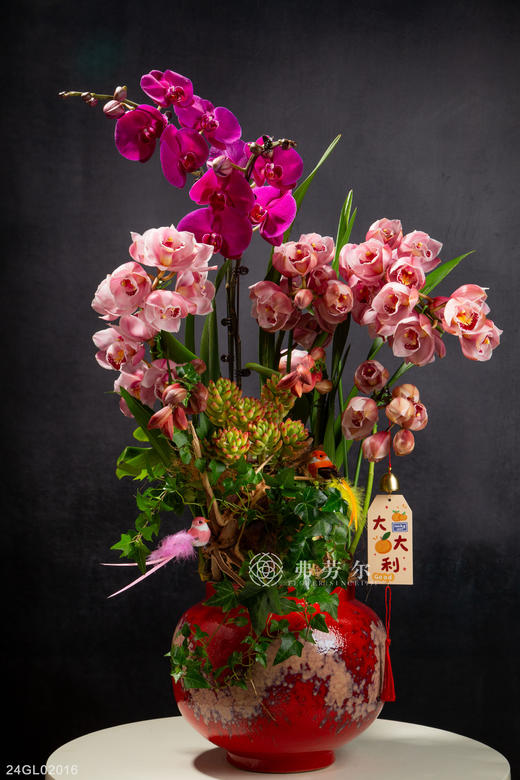 24GL02016 商品图0