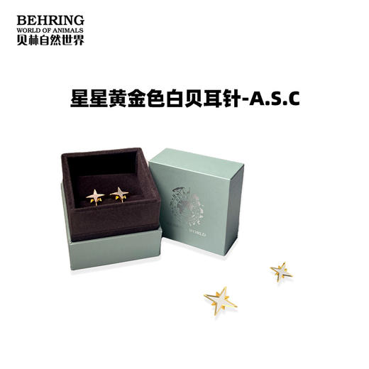 贝林自然世界星星黄金色白贝耳针项链手链 商品图3