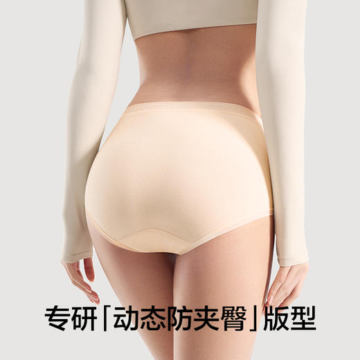 有棵树高腰大码纯棉女士内裤3条装-WU5004 商品图3