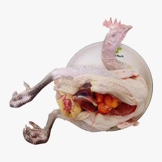 百食轩 安徽散养皖西麻黄鸡母鸡 高端彩袋彩箱装 （国家地理标志产品） 商品图3