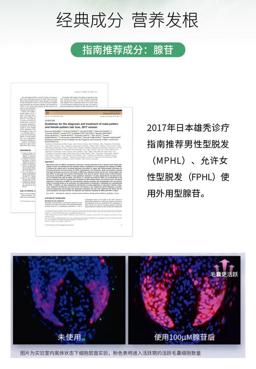 腺苷头皮营养液/头皮营养液 商品图1