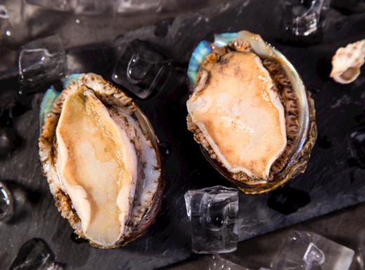 【海鲜】鲜活10头鲍鱼/个 商品图2