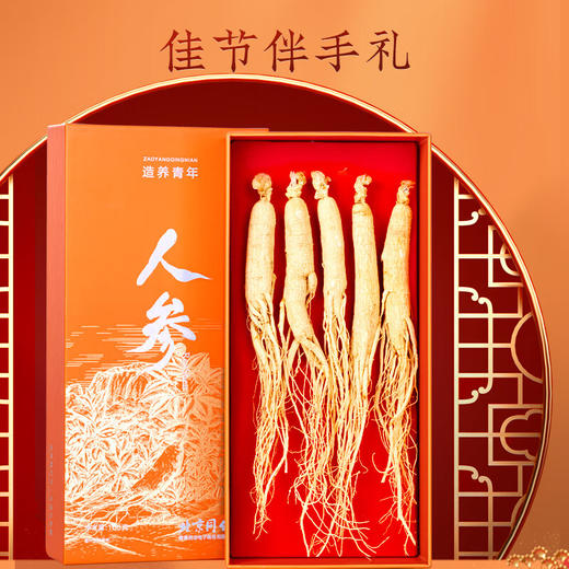 北京同仁堂  造养青年人参5支 100克 礼盒装 园参 源自长白山  参须浓密  参味浓郁SY 商品图3