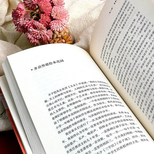 好的教育面向未来 我眼中的教育人物 大夏书系 教育新思考 程红兵 追寻教育的未来 商品图9