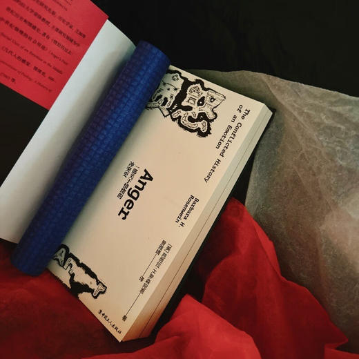 愤怒  一部关于情绪的冲突史 芭芭拉·H.罗森宛恩 著 历史 商品图2