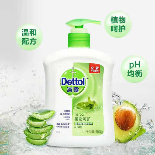 滴露滴露洗手液植物呵护450g+450g清香家用滋润清洁 经典松木450g+滋润倍护450g 商品图5