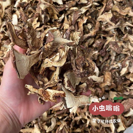 高原野生青冈菌 60g | 合作农友生产，产自四川甘孜雪山高原，生产者：李建程 &【公平贸易农人定价】 商品图7